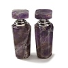 Natural Amethyst Dropper Perfume Bottles DJEW-H010-03P-01-1