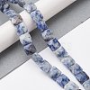 Natural Blue Spot Jasper Beads Strands G-K359-B19-01-2