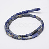 Natural Sodalite Stone Beads Strands G-E342-01-2