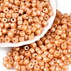 Baking Paint Pearlized Glass Seed Beads SEED-T008-03E-1