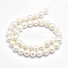 Natural Cultured Freshwater Pearl Beads Strands PEAR-F007-01-2
