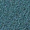 MIYUKI Delica Beads X-SEED-J020-DB1283-3