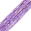 Natural Freshwater Shell Dyed Beads Strands SHEL-M018-11-08-1