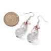 GLass Dangle Earrings EJEW-TA00438-3