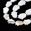 Natural Freshwater Shell Beads Strands SHEL-Q024-010-3