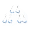 Dangle Earrings EJEW-E255-B06-2