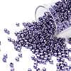 TOHO Round Seed Beads SEED-JPTR08-0567-1