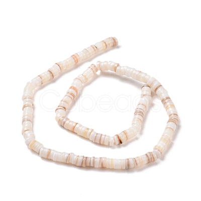 Natural Freshwater Shell Beads Strands X-SHEL-G011-09-A02-1