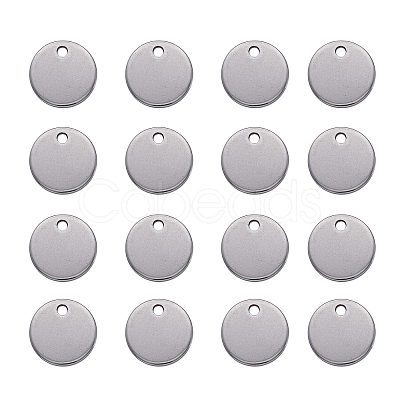 100pcs 304 Stainless Steel Stamping Blank Tag Pendants for Bracelet Earring Pendant Charms STAS-TA0001-01-1