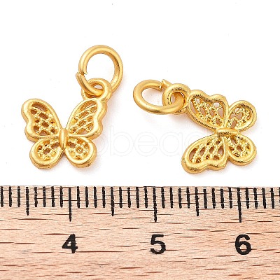 Alloy Charms ENAM-M008-21G-1