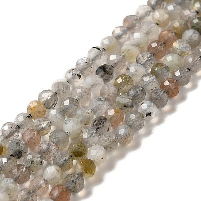 Natural Labradorite Beads Strands X-G-I341-11-1