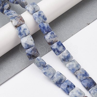 Natural Blue Spot Jasper Beads Strands G-K359-B19-01-1