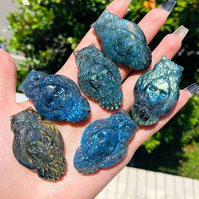 Natural Labradorite Carved Healing Owl with Skull Figurines PW-WG91642-01-1