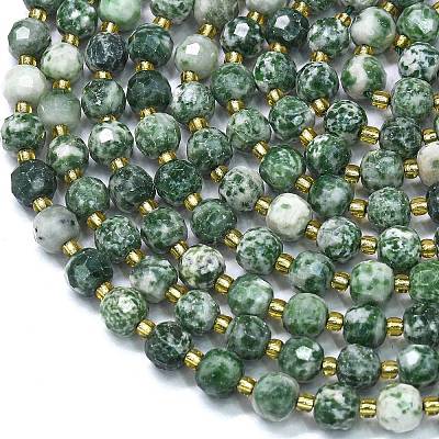 Natural Green Spot Jasper Beads Strands G-K389-E64-01-1