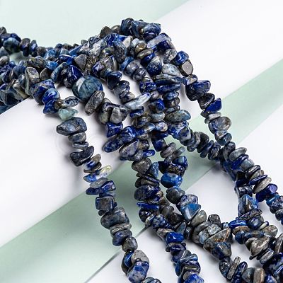 Natural Lapis Lazuli Beads Strands G-G011-05B-1