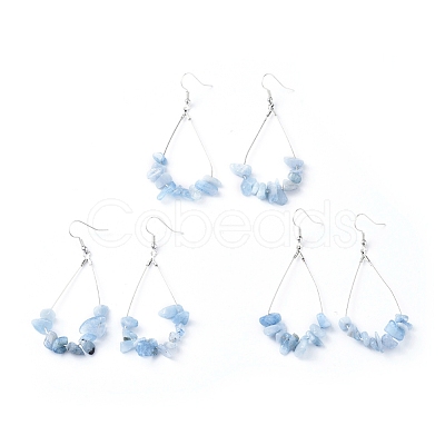 Dangle Earrings EJEW-E255-B06-1