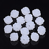 Imitation Jelly Acrylic Berry Beads JACR-R023-01-1