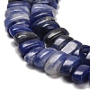 Natural Sodalite Beads Strands G-Q167-B06-01-4