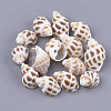 Spiral Shell Beads X-SSHEL-S258-61-1