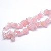 Natural Rose Quartz Beads Strands G-O049-B-60-3