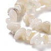 Natural White Moonstone Chip Bead Strands X-G-M205-68-3