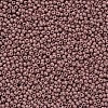 11/0 Grade A Baking Paint Glass Seed Beads X-SEED-N001-A-1047-2