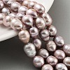 Natural Cultured Freshwater Pearl Beads Strands  PEAR-P062-13F-2