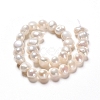 Natural Cultured Freshwater Pearl Beads Strands PEAR-I004-08A-2