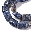 Natural Blue Spot Jasper Beads Strands G-T047-B10-01-4