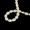 Oval Natural Trochid Shell/Trochus Shell Beads Strands SSHEL-F290-22-2