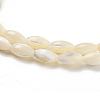 Natural Trochid Shell/Trochus Shell Beads Strands PBB513Y-3