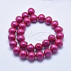 Shell Pearl Beads Strands BSHE-E020-01-3