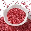 Baking Paint Glass Seed Beads X-SEED-S042-15A-06-2