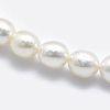 Natural Cultured Freshwater Pearl Beads Strands PEAR-K003-23D-01-3