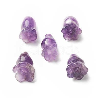 Natural Amethyst Beads G-C054-09B-1