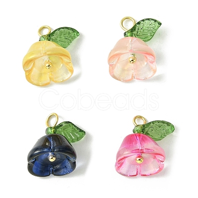 Transparent Acrylic Pendants PALLOY-TA00093-1