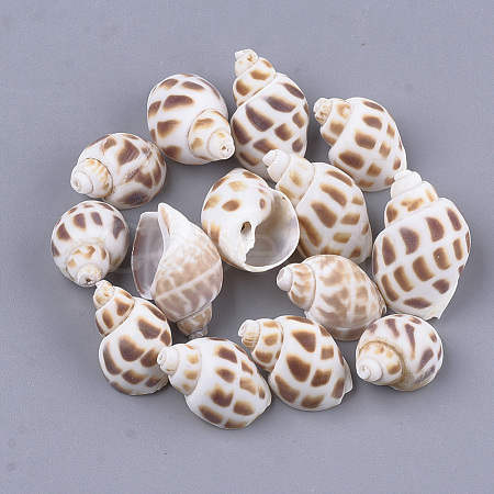 Spiral Shell Beads X-SSHEL-S258-61-1