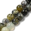 Natural Green Opal Beads Strands G-R494-A11-04-1