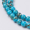 Sea Shell and Synthetic Turquoise Assembled Beads Strands G-G758-04-6mm-3