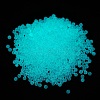 Luminous Transparent Glass Seed Round Beads GLAA-F124-D08-A-2