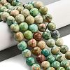 Natural Peruvian Turquoise(Jasper) Beads Strands G-Z062-A01-02-2