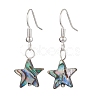 Natural Abalone Shell/Paua Shell Dangle Earring EJEW-JE05916-01-1