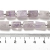 Natural Amethyst Beads Strands G-N327-06-04-5