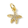 Brass Micro Pave Cubic Zirconia Charms ZIRC-F132-25G-1