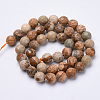 Natural Picture Jasper Beads Strands X-G-S281-01-8mm-2