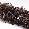 Natural Smoky Quartz Beads Strands G-K115-06-1