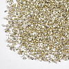 Plated Glass Seed Beads MRMJ-S034-04J-2