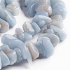 Natural Ang Chips Beads Strands G-D0002-A10-3
