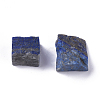 Rough Raw Natural Lapis Lazuli Beads G-WH0003-07-2