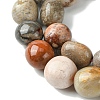 Natural Fossil Coral Beads Strands G-G117-A01-01-4